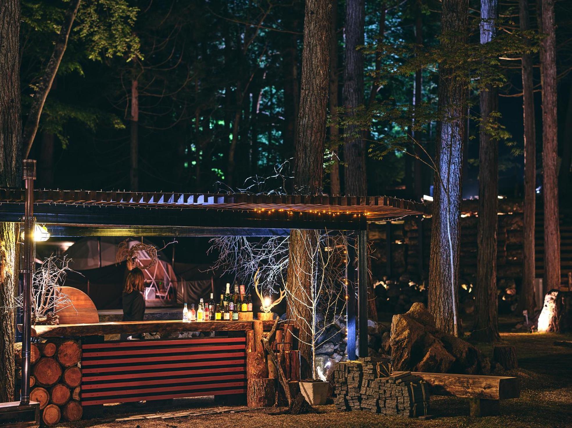 Glamping Villa Hanz Kawaguchiko Фудзикавагутико Номер фото